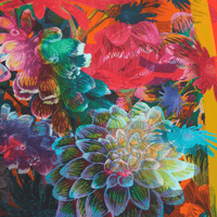 Daisy | 28" Double-Sided Furoshiki Gift Wrap by Adam Klassen - Wrappr