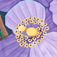 Sweet Nothing | 28" Furoshiki Gift Wrap by Corina Plamada - Wrappr