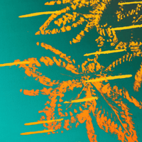 wîhkwaskwa (sweetgrass) | 35" Furoshiki Gift Wrap by Half Moon Woman - Wrappr